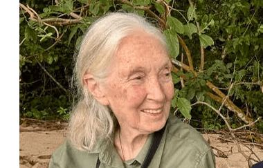 Jane Goodall