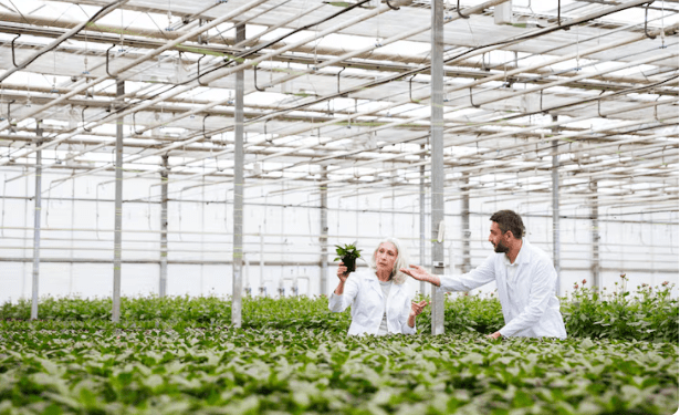 L'Agriculture Verticale , Comment Ces Tours de Verre Vont Nourrir 10 Milliards d'Humains