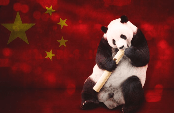 La diplomatie du panda est morte , Le durcissement brutal de la politique étrangère chinoise