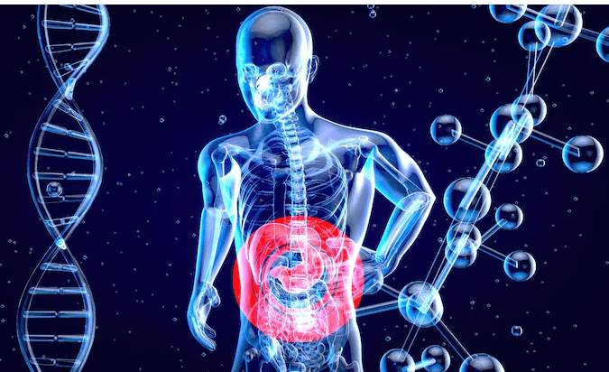 Le microbiote, notre second cerveau , Ce lien fascinant entre notre intestin et les maladies neurodégénératives