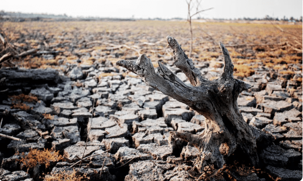Sécheresse extrême en France : La bataille de l'or bleu qui déchire le monde agricole et les écologistes