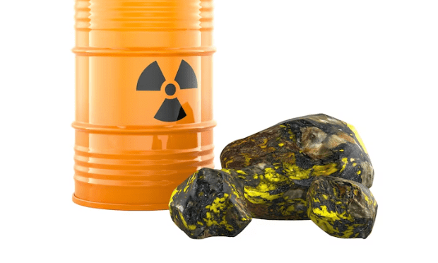 L'or noir 2.0 , Comment l'uranium est redevenu l'investissement le plus rentable et le plus secret de Wall Street