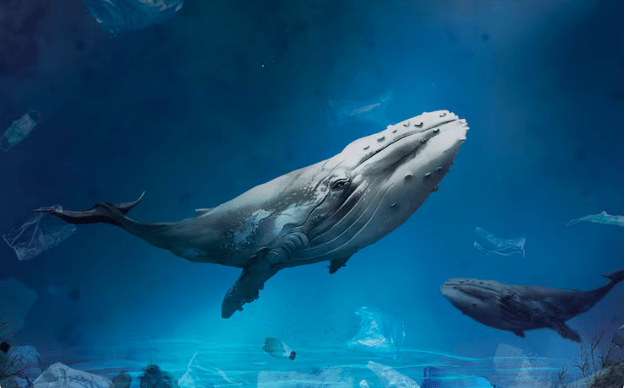 Le chant des baleines décodé par l'IA